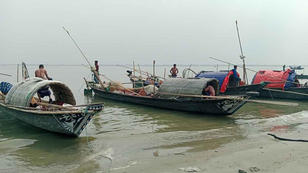 ভরা মৌসুমেও পদ্মায় দেখা মিলছে না কাঙ্ক্ষিত ইলিশের