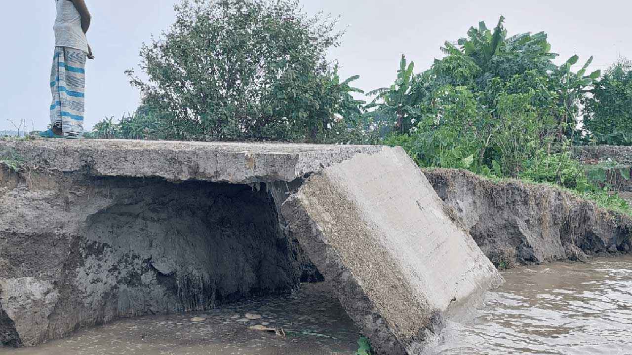 জাজিরায় পদ্মার ভাঙন আতঙ্কে ৪০০ পরিবার